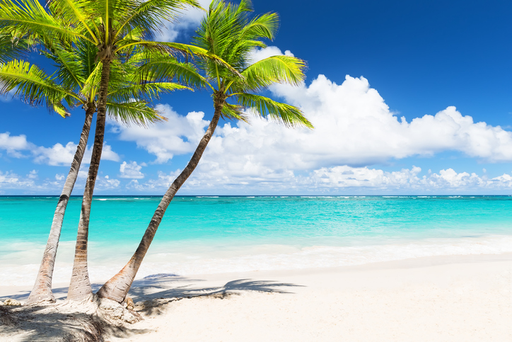 Sunny beach with blue water and palm trees
